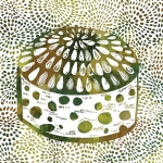 dundee cake green